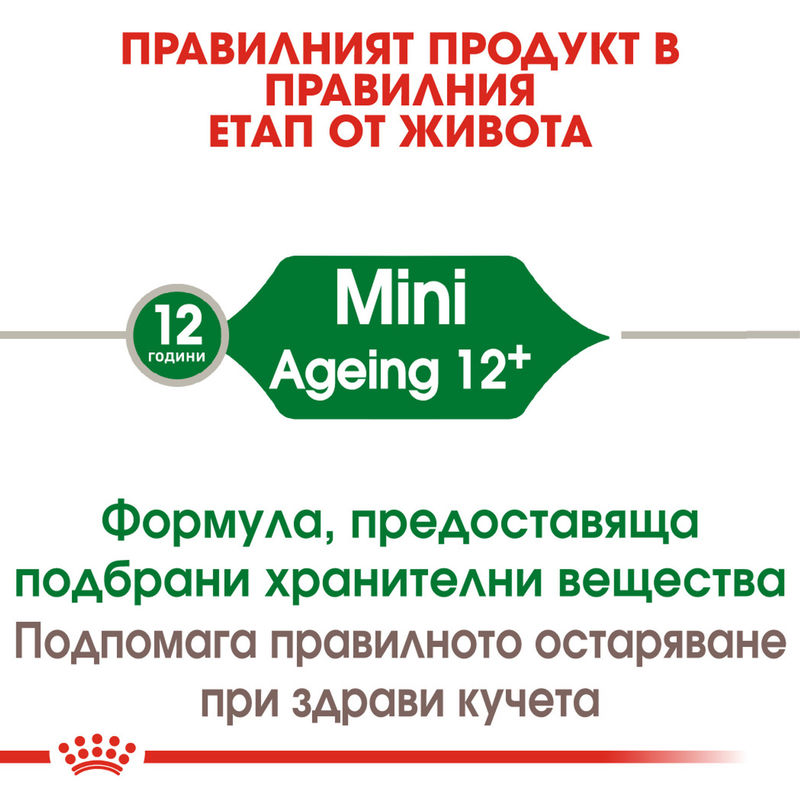 ROYAL CANIN® Mini Ageing 12+ - Храна за кучета от малки породи на възраст над 12 години 4