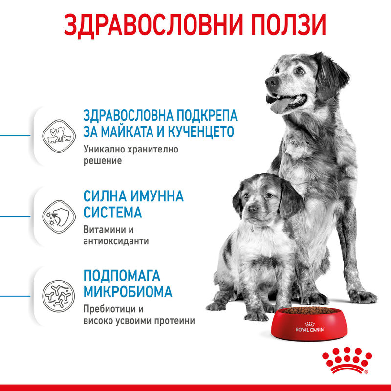 ROYAL CANIN® Medium Starter Mother & Babydog - Храна за бременни и кърмещи майки и кученца от средни породи (до 2 месеца) 7