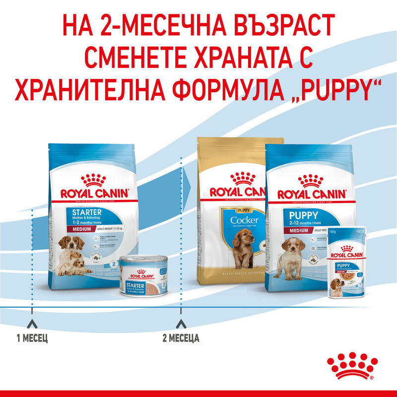 ROYAL CANIN® Medium Starter Mother & Babydog - Храна за бременни и кърмещи майки и кученца от средни породи (до 2 месеца) 10