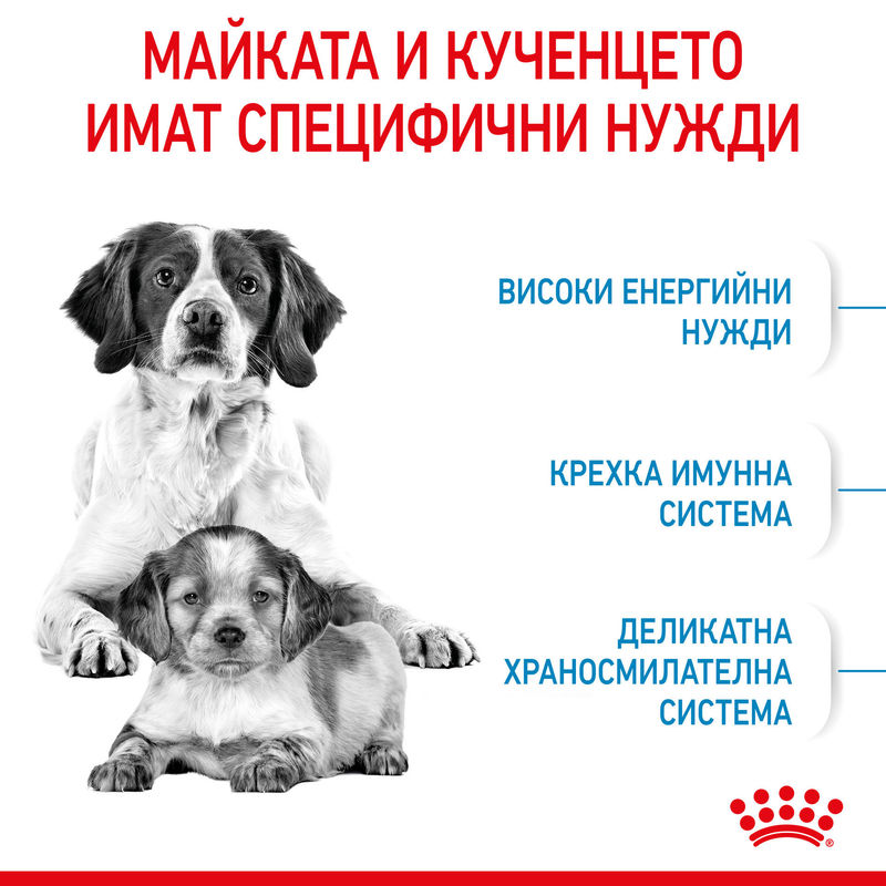 ROYAL CANIN® Medium Starter Mother & Babydog - Храна за бременни и кърмещи майки и кученца от средни породи (до 2 месеца) 6