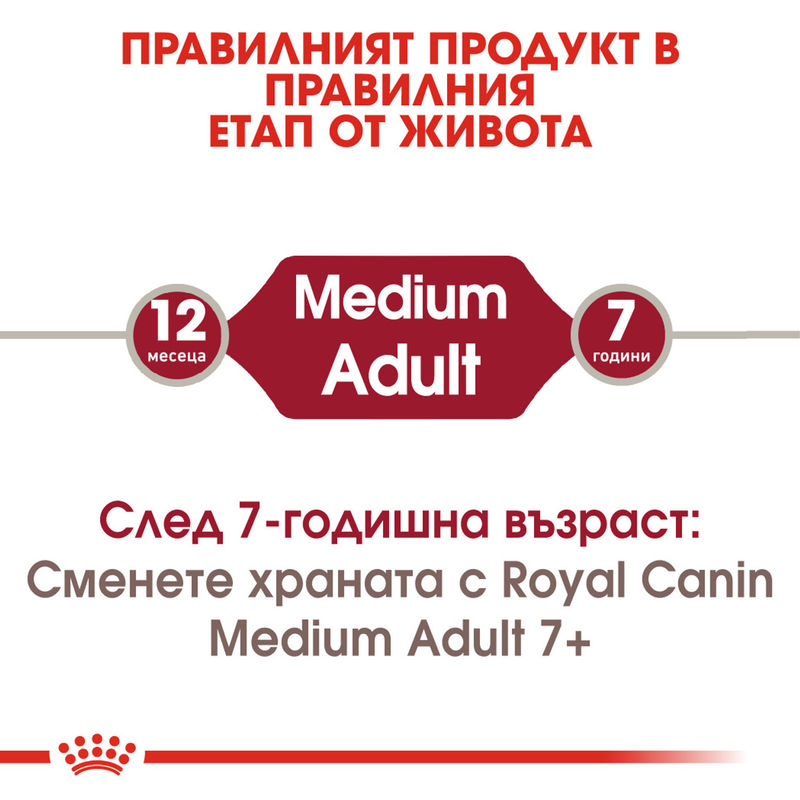 ROYAL CANIN® Medium Adult - Храна за кучета средни породи (1-7 години) 2