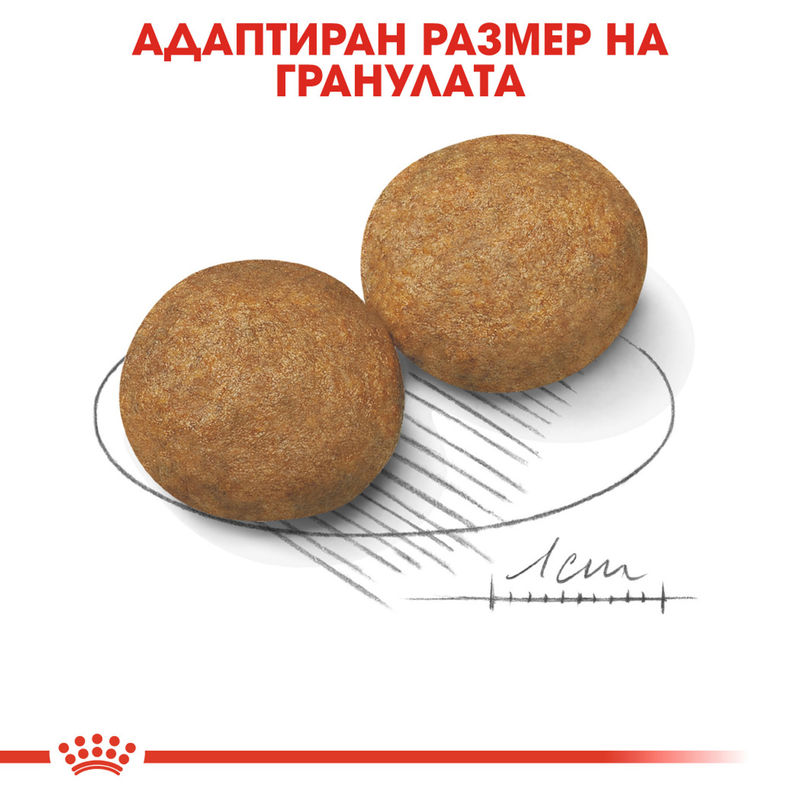 ROYAL CANIN® Medium Adult - Храна за кучета средни породи (1-7 години) 3