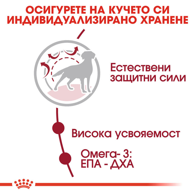 ROYAL CANIN® Medium Adult - Храна за кучета средни породи (1-7 години) 4