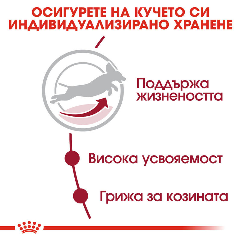 ROYAL CANIN® Medium Adult 7+ - Храна за кучета средни породи над 7 години 3