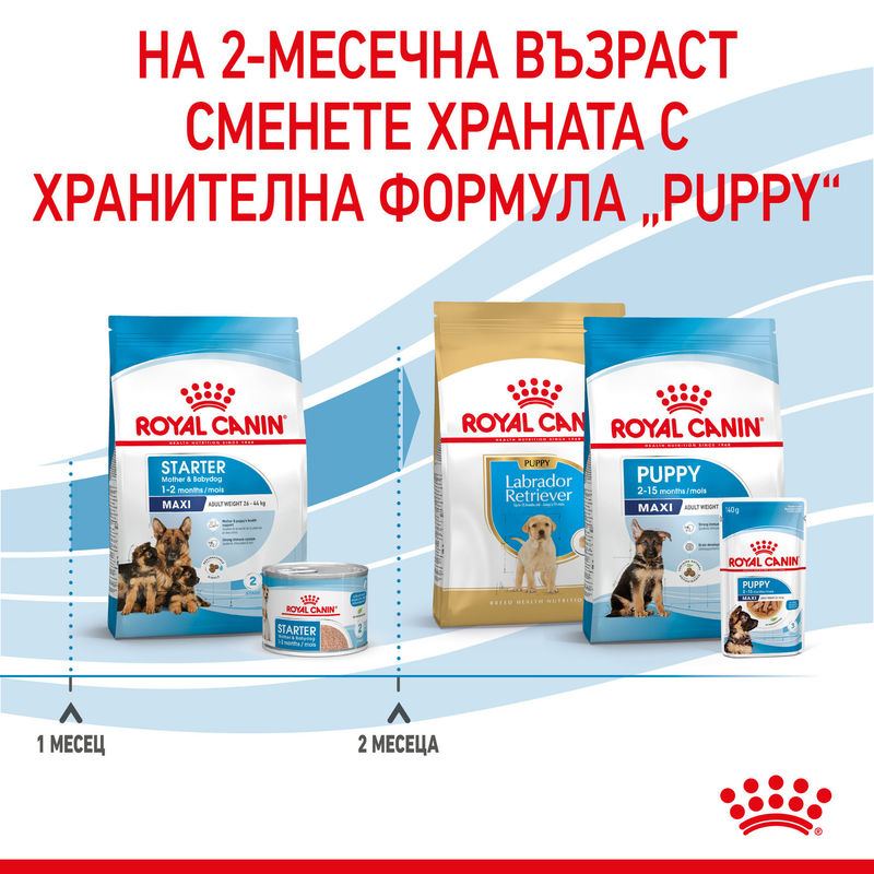 ROYAL CANIN® Maxi Starter Mother & Babydog - Храна за бременни, кърмещи майки и кученца от големи породи 4