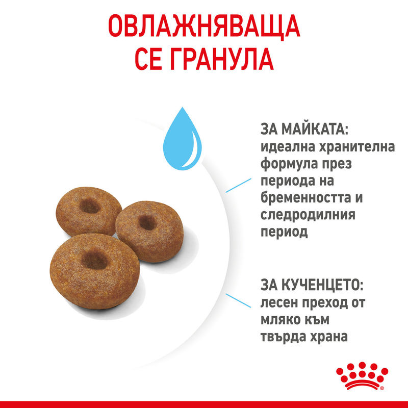 ROYAL CANIN® Maxi Starter Mother & Babydog - Храна за бременни, кърмещи майки и кученца от големи породи 2