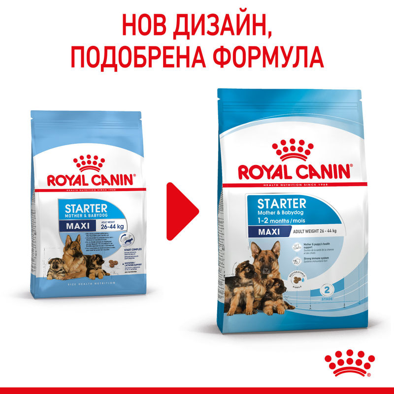 ROYAL CANIN® Maxi Starter Mother & Babydog - Храна за бременни, кърмещи майки и кученца от големи породи 10
