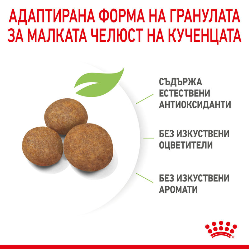 ROYAL CANIN® Maxi Puppy - Храна за кученца от големи породи 2