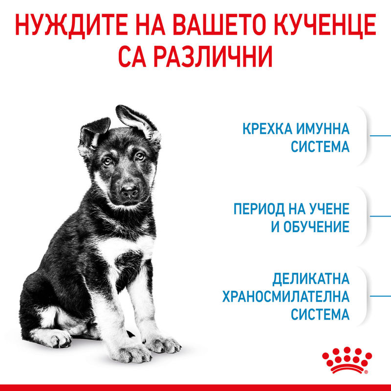 ROYAL CANIN® Maxi Puppy - Храна за кученца от големи породи 9