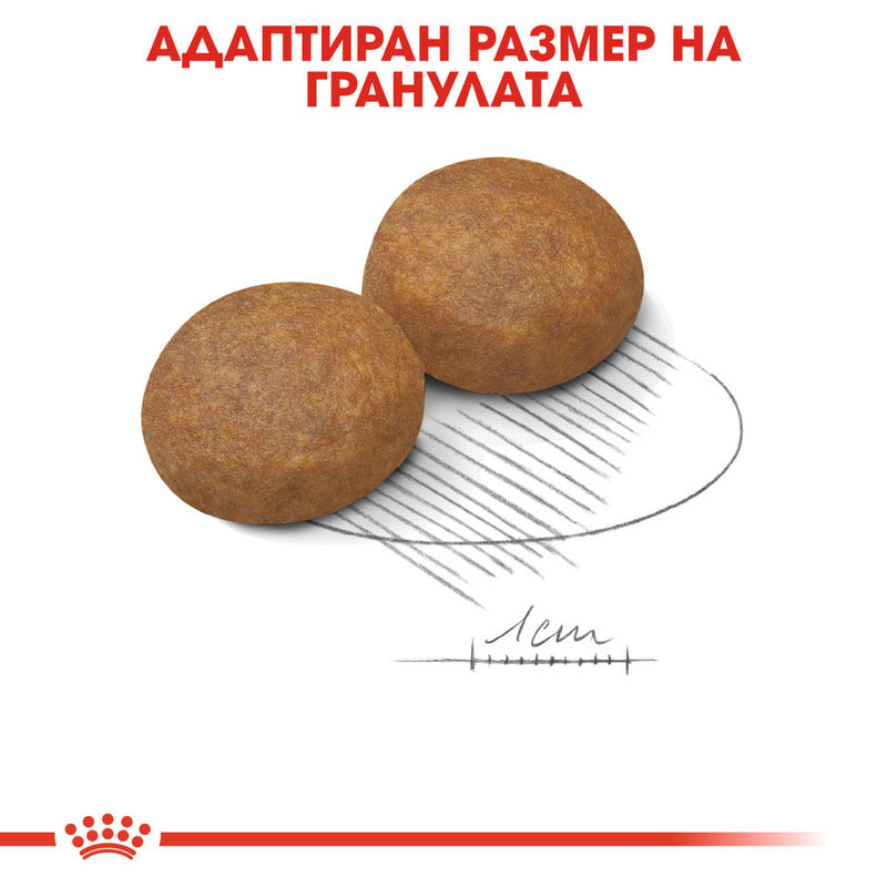 ROYAL CANIN® Maxi Adult 5+ - Храна за кучета от големи породи (5+ години) 2