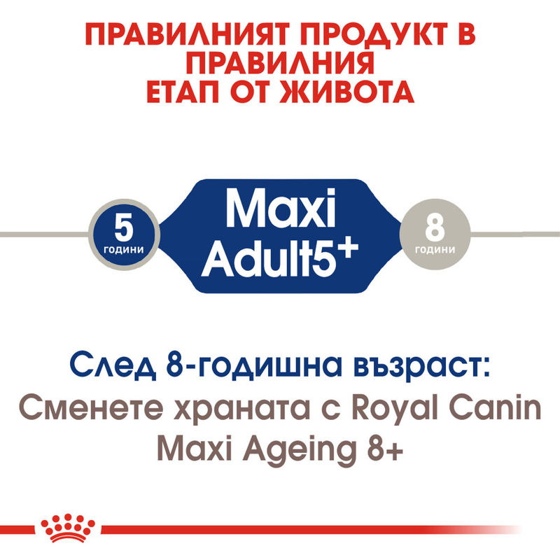 ROYAL CANIN® Maxi Adult 5+ - Храна за кучета от големи породи (5+ години) 6