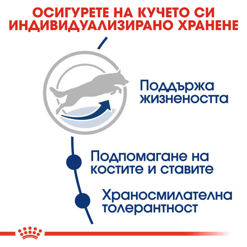 ROYAL CANIN® Maxi Adult 5+ - Храна за кучета от големи породи (5+ години) 3