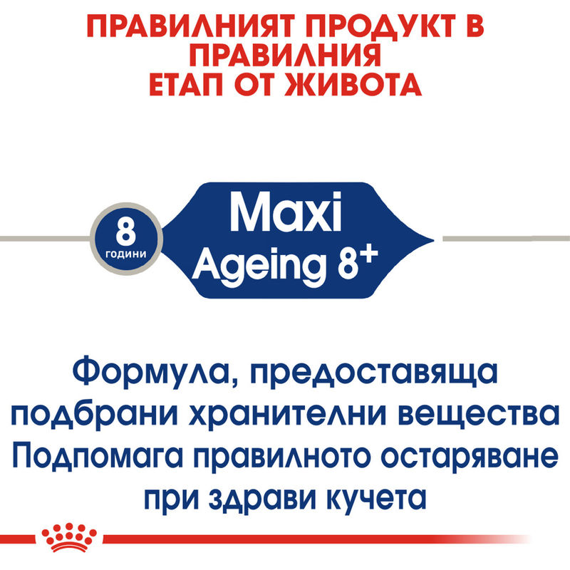 ROYAL CANIN® Maxi Ageing 8+ - Храна за възрастни кучета от големи породи (8+ години) 2