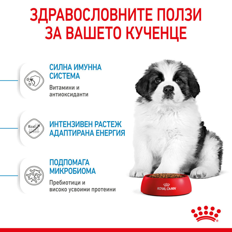ROYAL CANIN® Giant Puppy - Храна за кученца от гигантски породи 6
