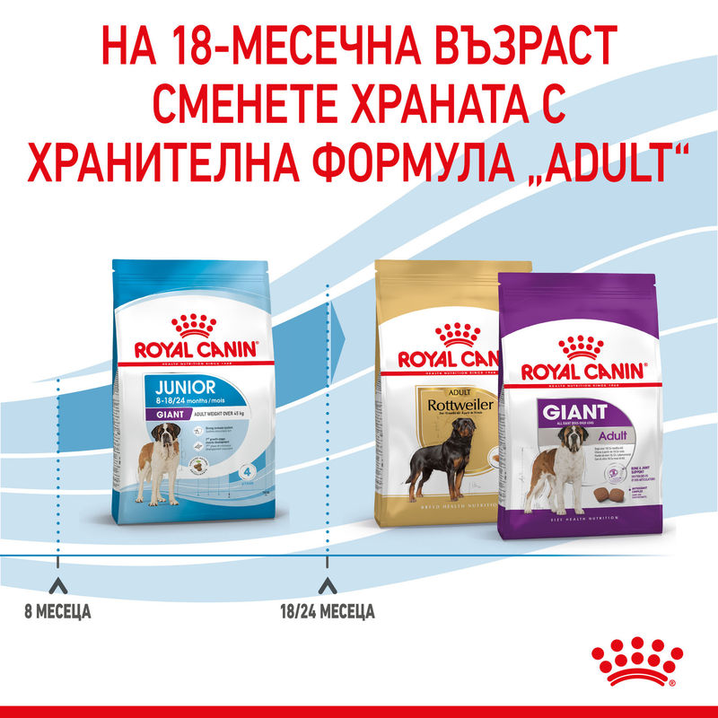 ROYAL CANIN® Giant Junior – Храна за подрастващи кучета от гигантски породи 5