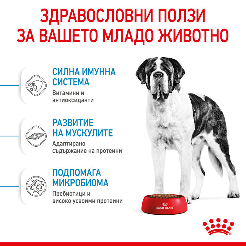 ROYAL CANIN® Giant Junior – Храна за подрастващи кучета от гигантски породи 3