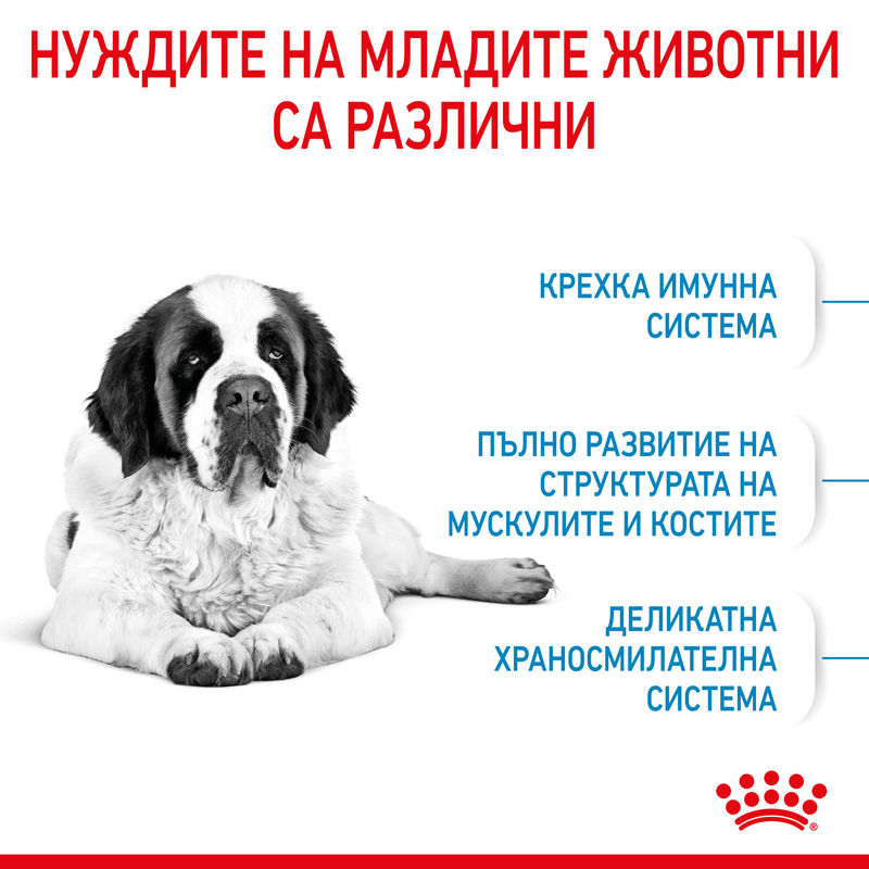 ROYAL CANIN® Giant Junior – Храна за подрастващи кучета от гигантски породи 2