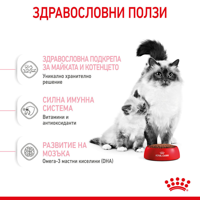 ROYAL CANIN® Mother & Babycat – Храна за бременни и кърмещи котки, както и котенца до 4 месечна възраст 5