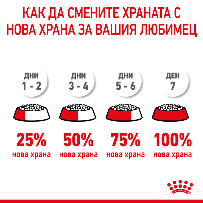 ROYAL CANIN® Mother & Babycat – Храна за бременни и кърмещи котки, както и котенца до 4 месечна възраст 8