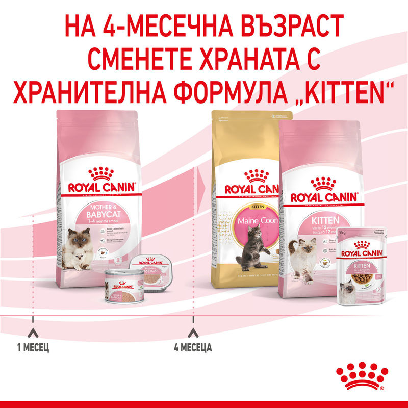 ROYAL CANIN® Mother & Babycat – Храна за бременни и кърмещи котки, както и котенца до 4 месечна възраст 6