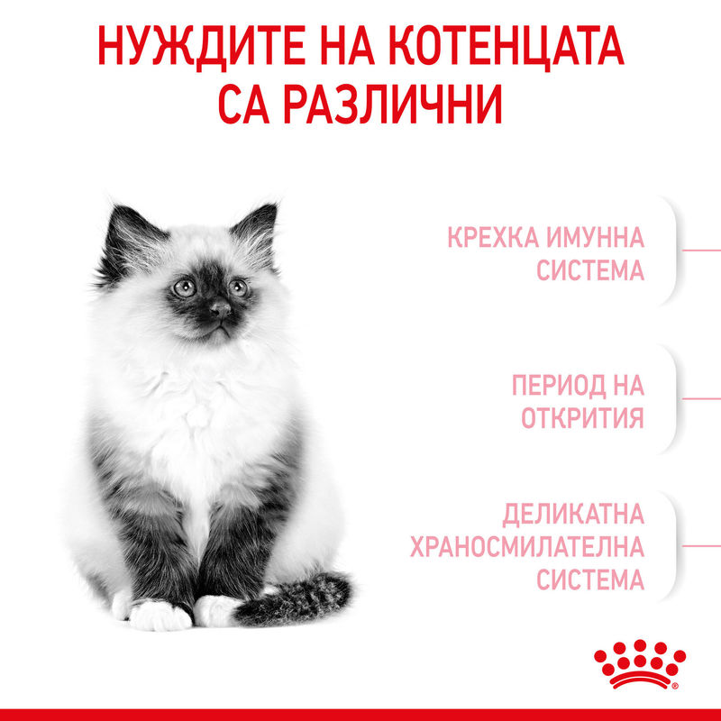 ROYAL CANIN® Kitten – Храна за котенца от 4 до 12 месеца 4