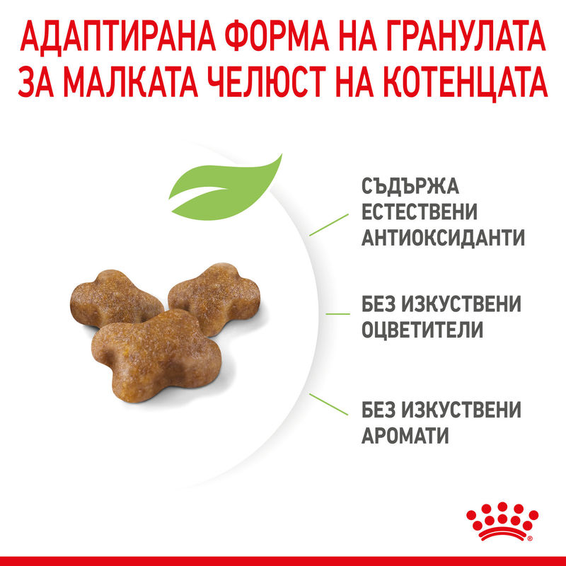 ROYAL CANIN® Kitten – Храна за котенца от 4 до 12 месеца 3