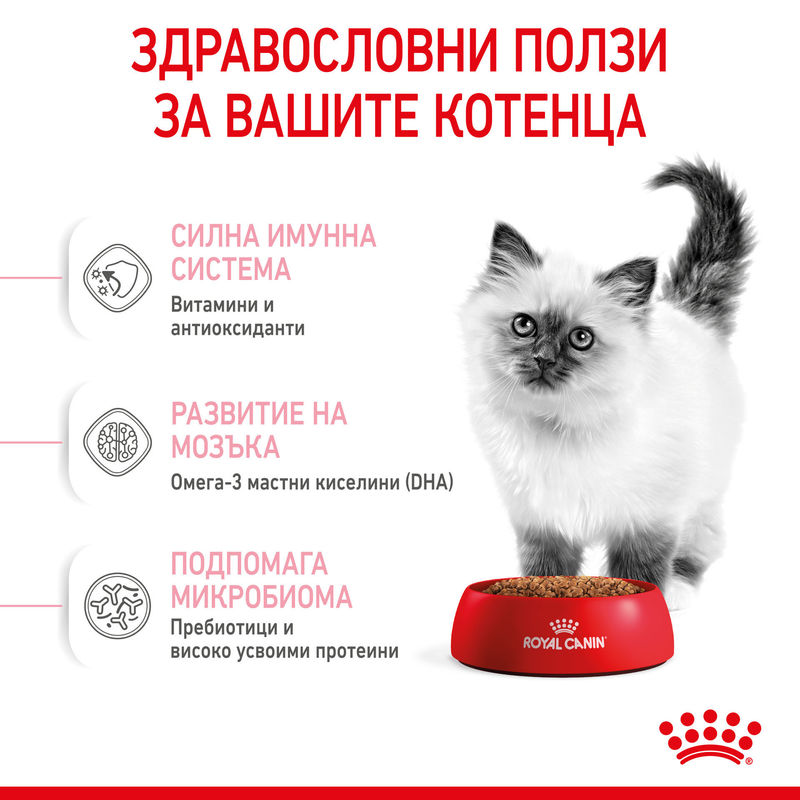 ROYAL CANIN® Kitten – Храна за котенца от 4 до 12 месеца 6