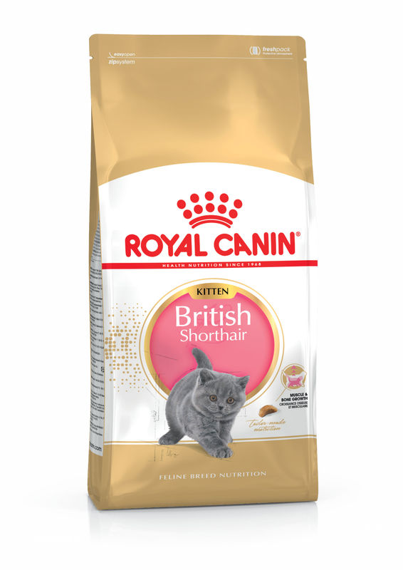 ROYAL CANIN® British Shorthair Kitten – Специализирана храна за котенца от породата Британска късокосместа