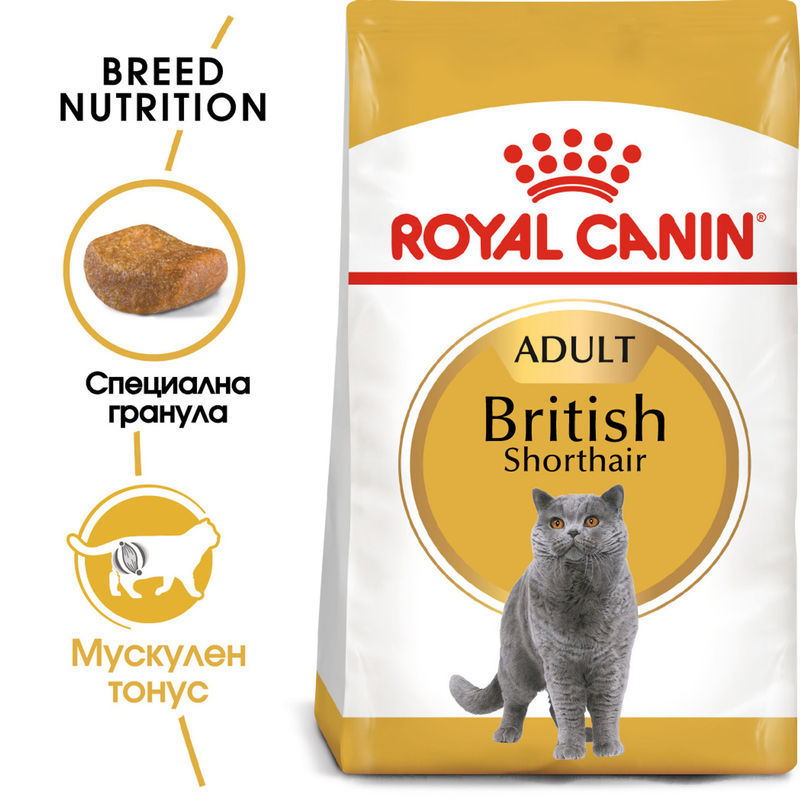 ROYAL CANIN® British Shorthair – Храна за възрастни котки от породата Британска късокосместа