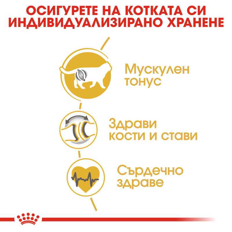 ROYAL CANIN® British Shorthair – Храна за възрастни котки от породата Британска късокосместа 2