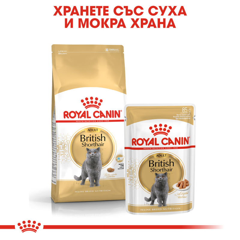 ROYAL CANIN® British Shorthair – Храна за възрастни котки от породата Британска късокосместа 3