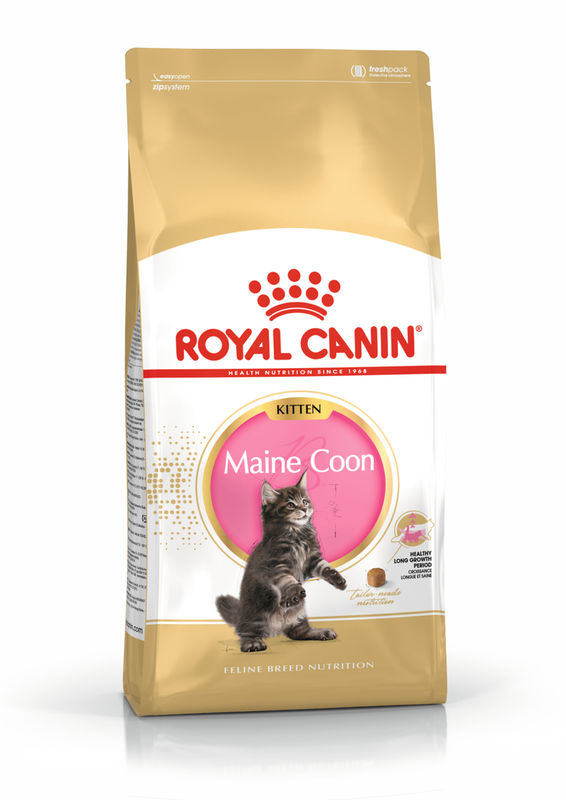 ROYAL CANIN® Maine Coon Kitten – Храна за котенца от породата Мейн Куун