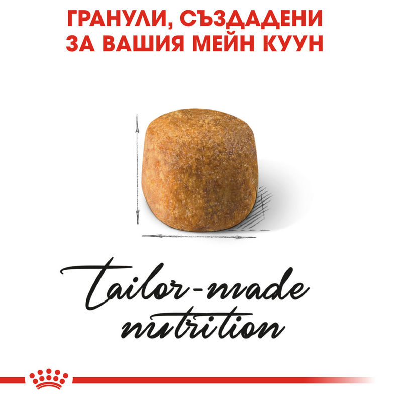 ROYAL CANIN® Maine Coon – Храна за възрастни котки от порода Мейн Куун 3