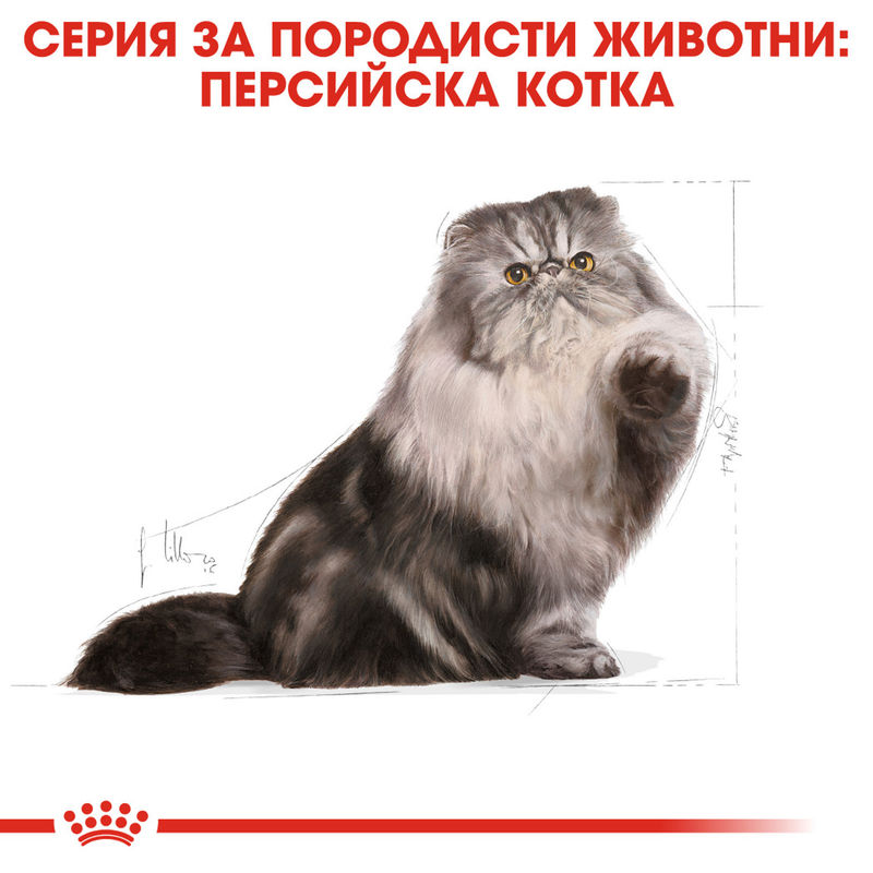 ROYAL CANIN® Persian - Храна за възрастни котки от порода Персийска котка 2