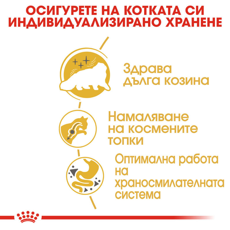ROYAL CANIN® Persian - Храна за възрастни котки от порода Персийска котка 5