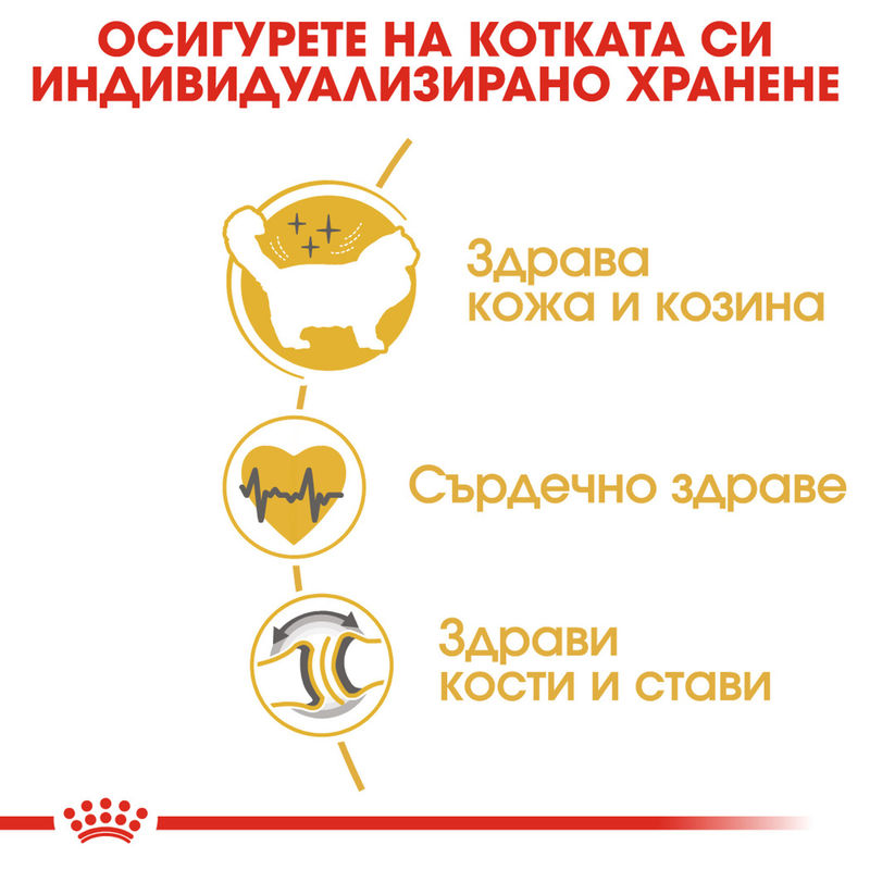 ROYAL CANIN® Ragdoll - Храна за възрастни котки от порода Рагдол 4