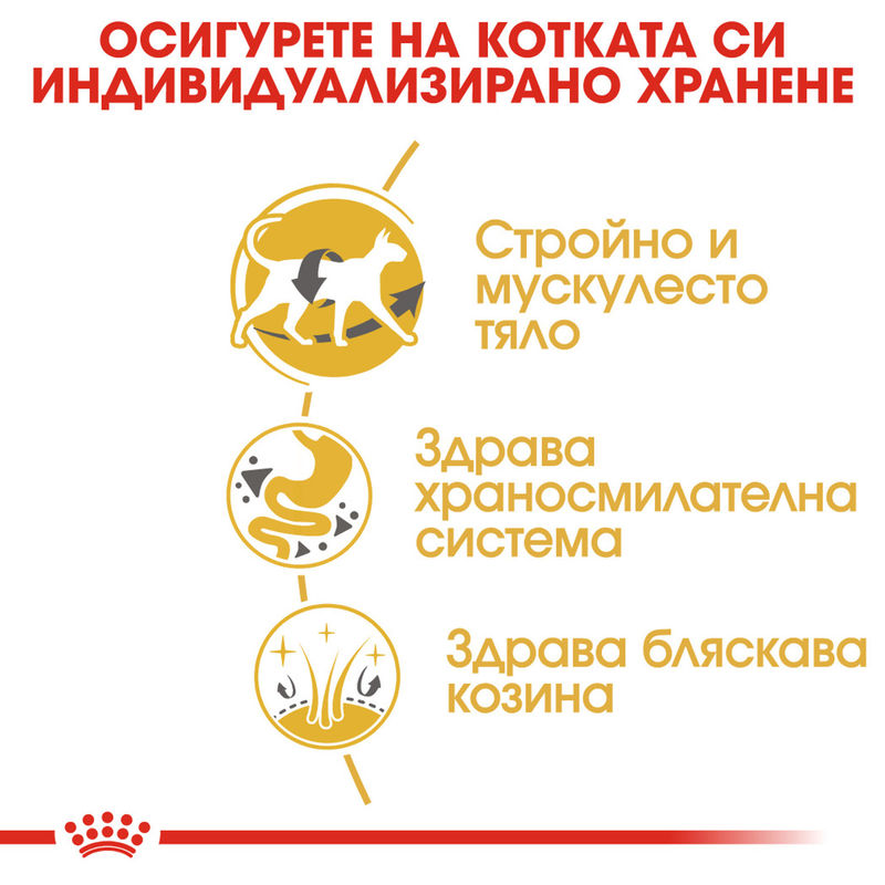 ROYAL CANIN® Siamese - Храна за възрастни котки от порода Сиамска 4