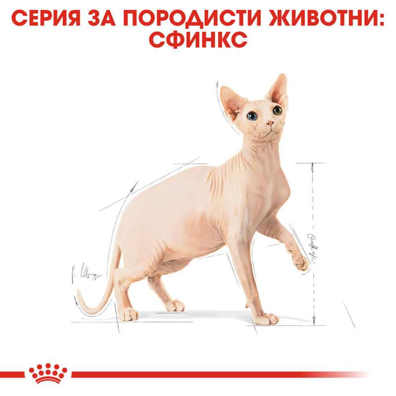 ROYAL CANIN® Sphynx - Храна за възрастни котки от порода Сфинкс 5