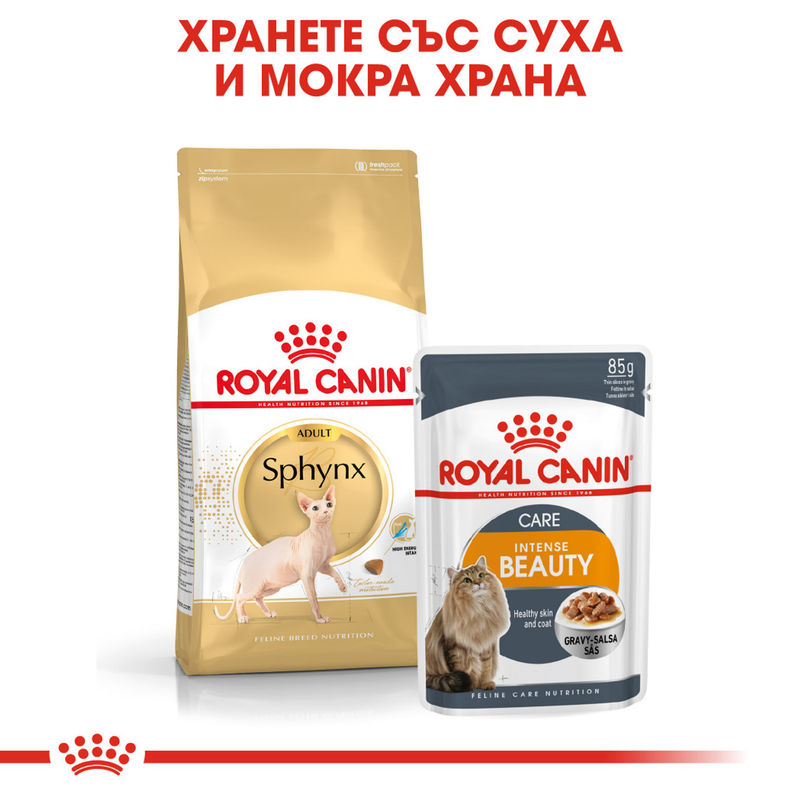 ROYAL CANIN® Sphynx - Храна за възрастни котки от порода Сфинкс 6