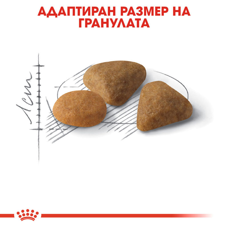 ROYAL CANIN® Exigent Savour - Храна за капризни котки с изискан вкус 2