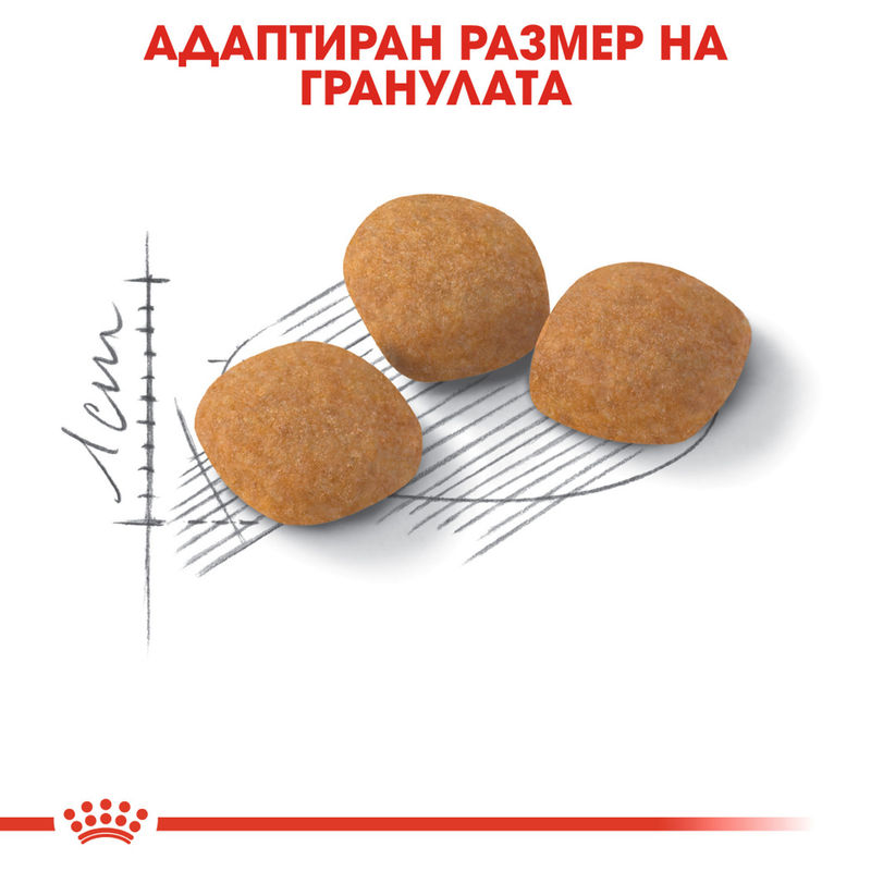 ROYAL CANIN® Exigent Protein - Храна за котки с изисквания към протеиновото съдържание 2