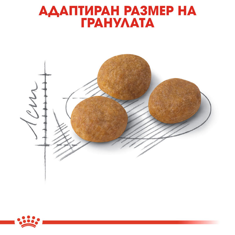 ROYAL CANIN® Exigent Aroma - Храна за котки с внимание към аромата и вкуса 2