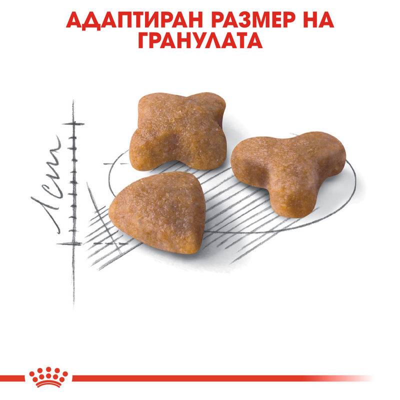 ROYAL CANIN® Sensible - Храна за котки с чувствителен стомах 2