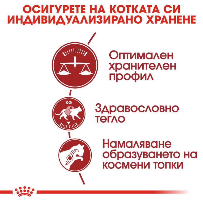 ROYAL CANIN® Fit 32 - Пълноценна храна за активни котки 5