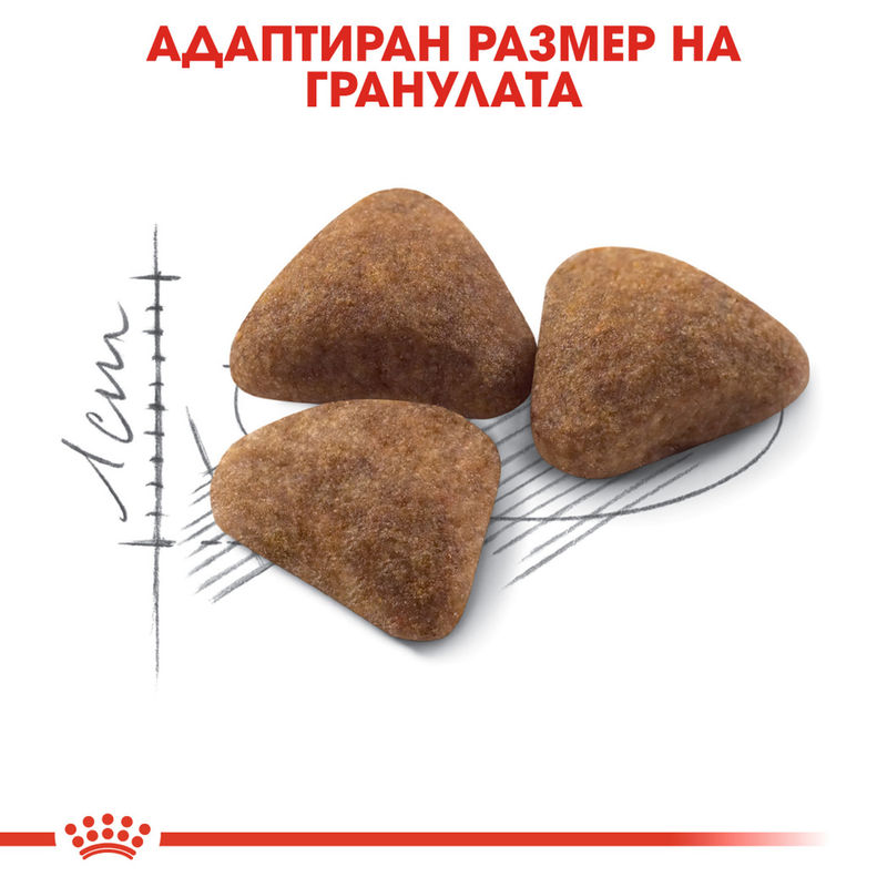 ROYAL CANIN® Indoor 27 - Храна за котки, живеещи основно в дома 3
