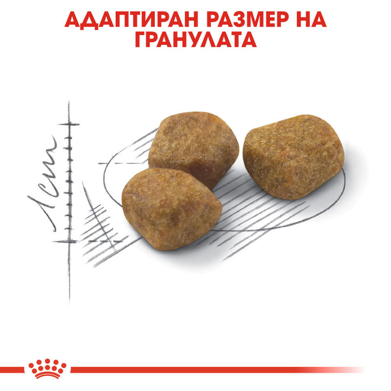 ROYAL CANIN® Indoor 7+ - Храна за котки над 7 години, живеещи основно в дома 3