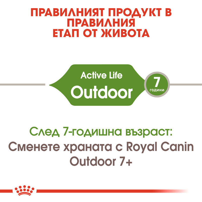 ROYAL CANIN® Outdoor - Храна за активни котки, живеещи на открито 2