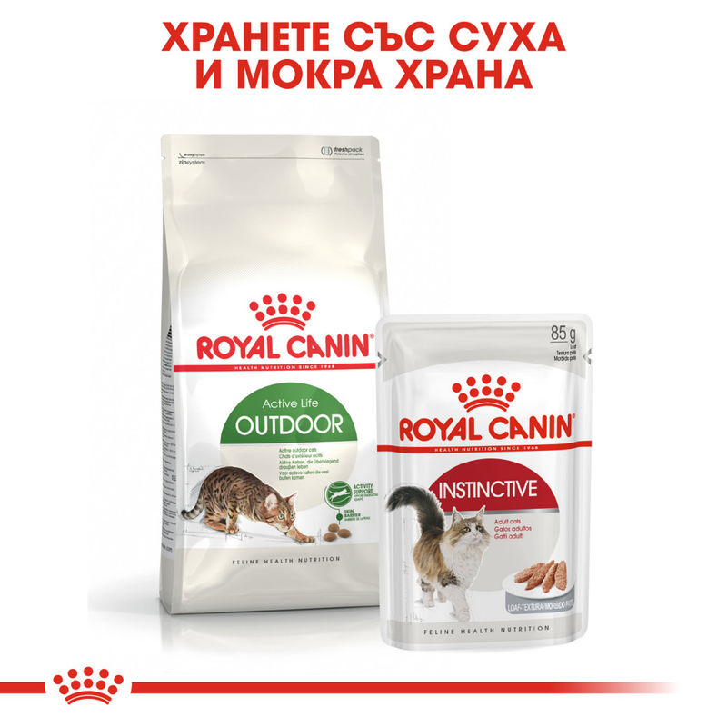 ROYAL CANIN® Outdoor - Храна за активни котки, живеещи на открито 4