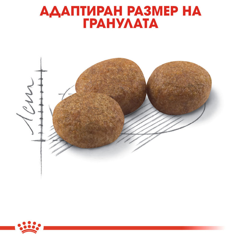 ROYAL CANIN® Sterilised - Храна за кастрирани котки 2