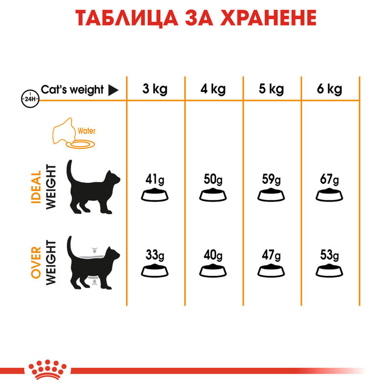 ROYAL CANIN CARE HAIR&SKIN 4